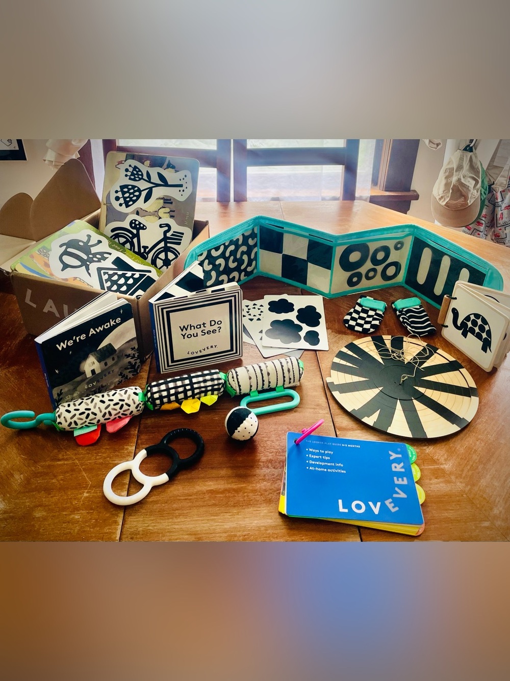 Lovevery The Looker Play Kit and book bundle